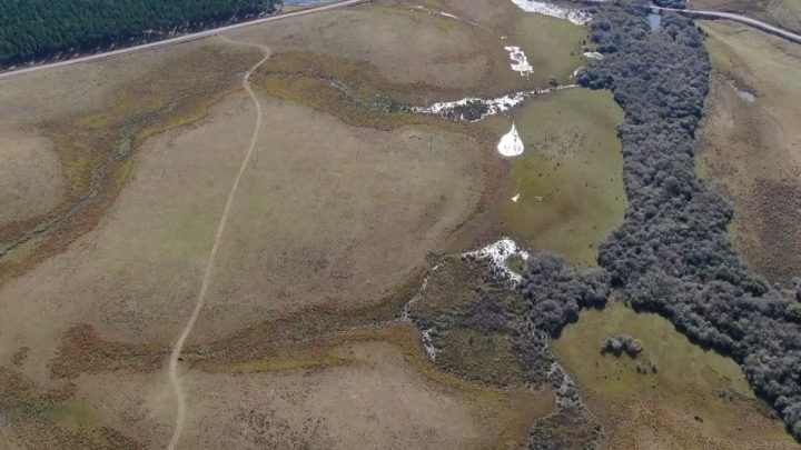 El INC Adquiere Terreno de 900 Hectáreas en Paysandú y Planea Ampliación Futura