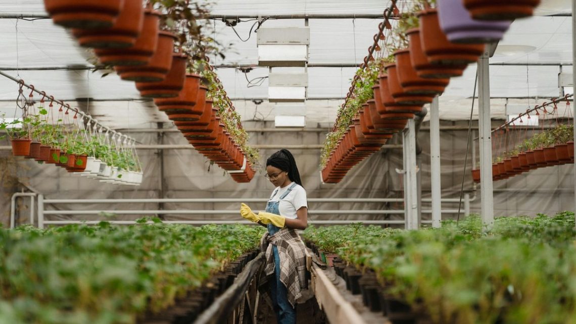 Convocatoria «Transformadoras» Impulsa Proyectos de Mujeres en Agro y Pesca con Financiamiento del MGAP e IPA