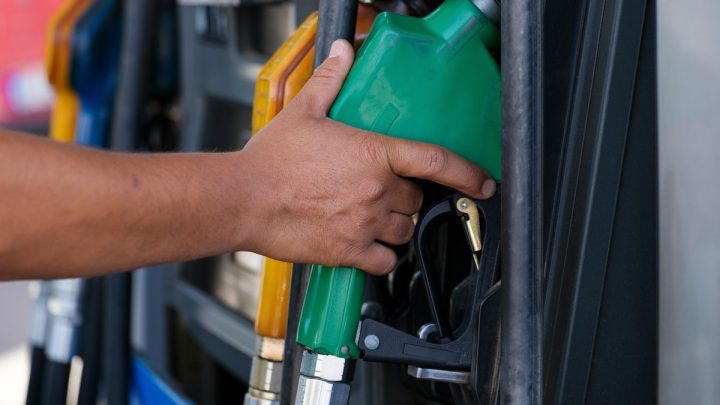 La revolución de los cultivos aceiteros se acelera por la crisis del petróleo