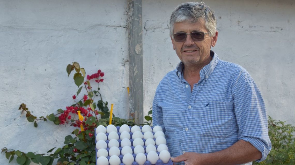 La historia de Danilo, el productor que prefiere comer huevos blancos y el cuidado del bolsillo del obrero