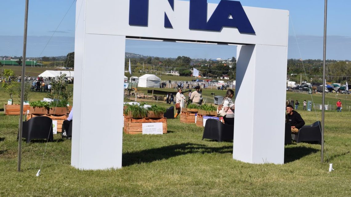 La batería de contenidos que el INIA anunció para su aporte en la Expo Rural de Melilla
