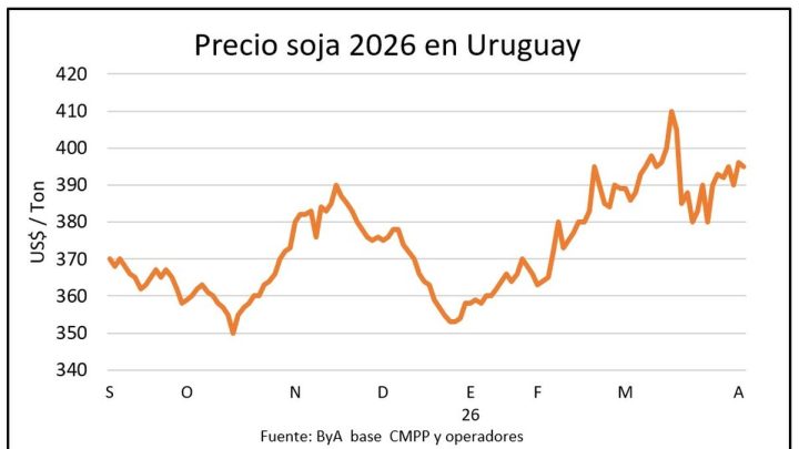 Oleaginosas se fortalecen y cereales retroceden en el mercado de granos