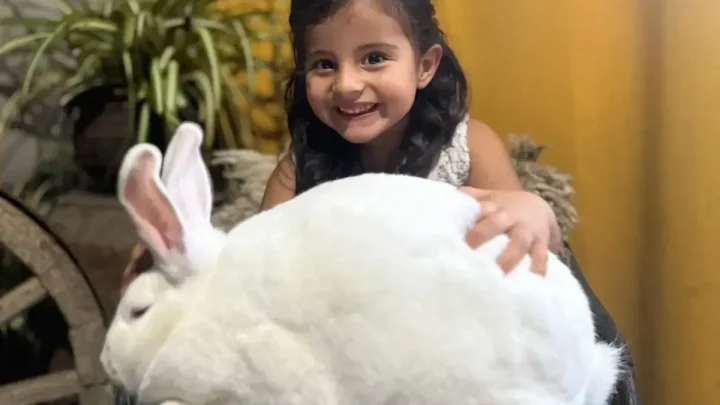 El mejor de todos los conejos en Melilla lo expuso una cabañera de tres años que llegó desde San Carlos