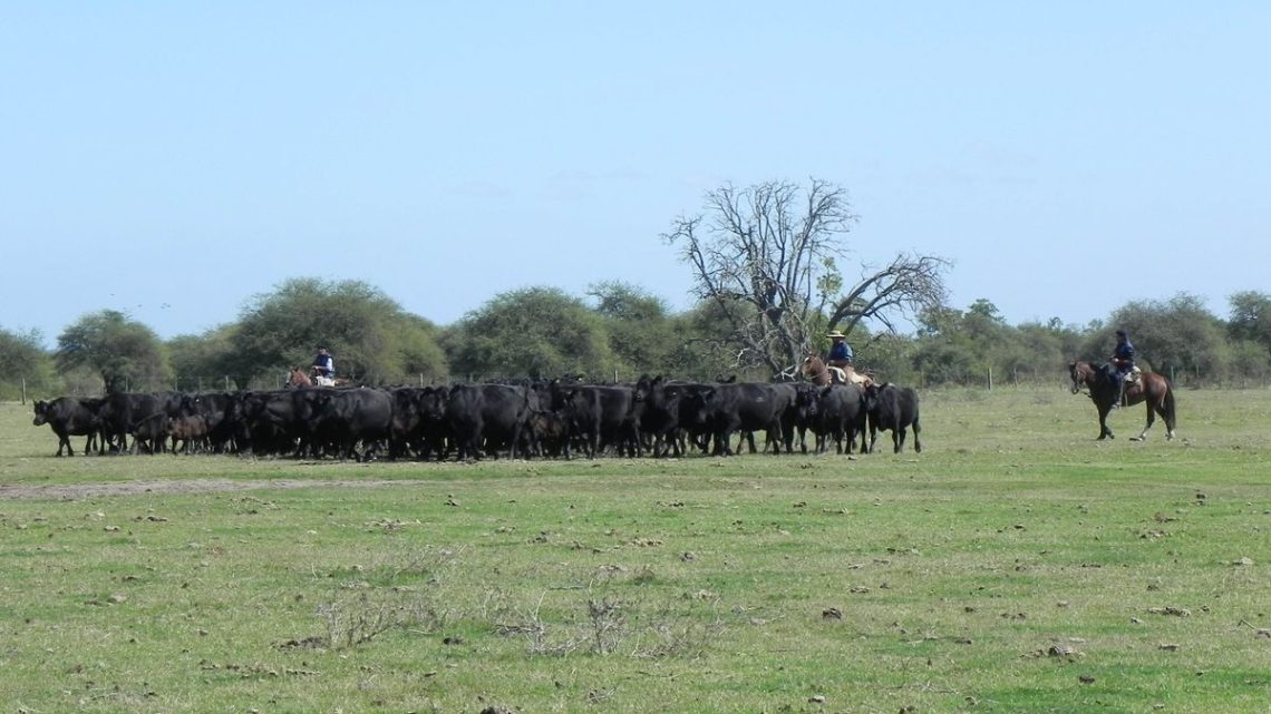 El Agro Uruguayo: Su Valioso Legado Natural en un Año Determinante para su Porvenir**

**