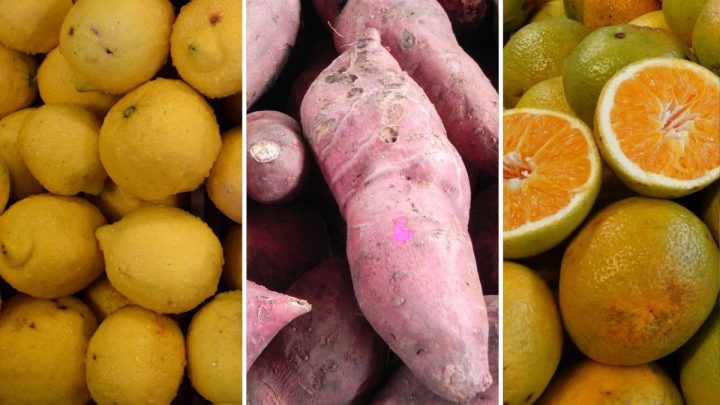 Tres productos clave a $100 por tres kilos destacan en la nueva Lista Inteligente de La Feria de la UAM