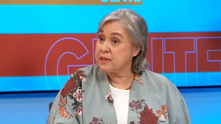 Jimena Fernández, directora de la Inddhh, propone que comisionado para niños y adolescentes opere dentro de la Institución