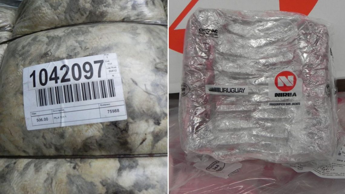 Los ingresos por exportaciones ovinas en Uruguay se disparan más de un 40% en el primer cuatrimestre de 2026