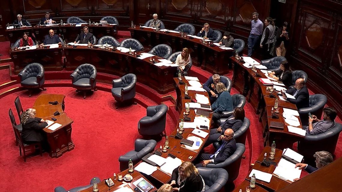 Senado debate la creación de un Comisionado para la Niñez y Adolescencia