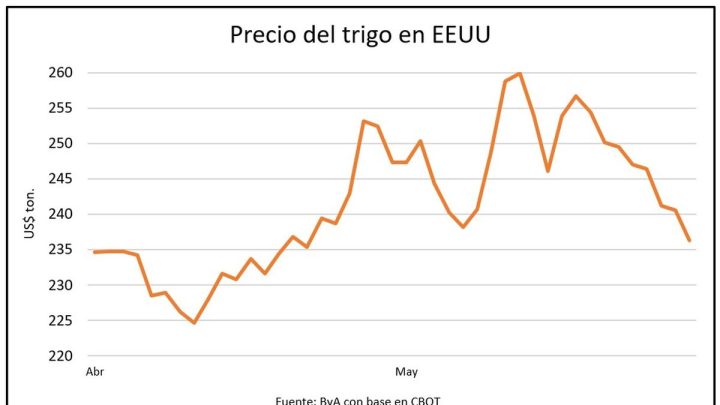 El trigo sufre un fuerte retroceso de precios en medio de la reconfiguración del mercado de granos