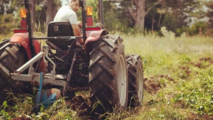 Agroecología: una transformación silenciosa impulsa la alimentación del futuro en Uruguay