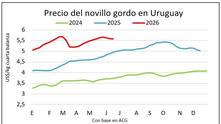 Fortalecimiento del Mercado Ganadero: Repunte de Precios y Estabilización en la Faena