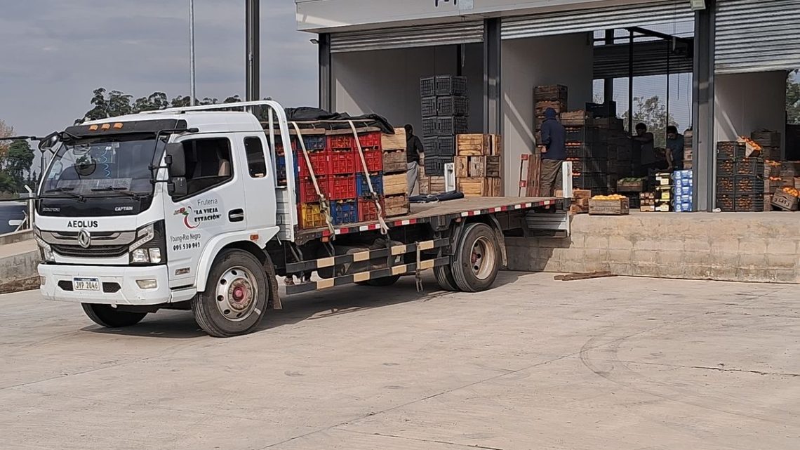 Central Hortícola del Norte: un mes de actividad con balance positivo y el regreso de compradores