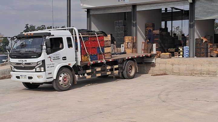 Central Hortícola del Norte: un mes de actividad con balance positivo y el regreso de compradores