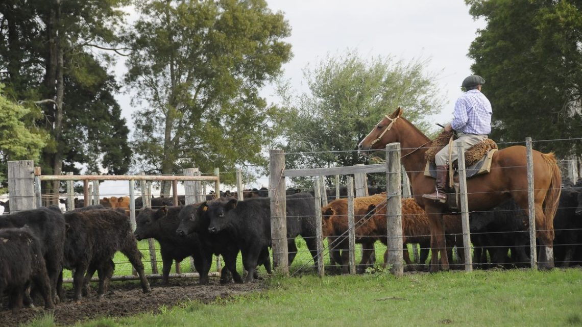 Récord histórico de inversión promovida en el agro uruguayo durante 2025