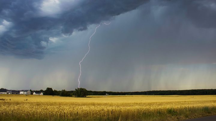 Conflicto global, El Niño y un giro drástico en el mercado del trigo