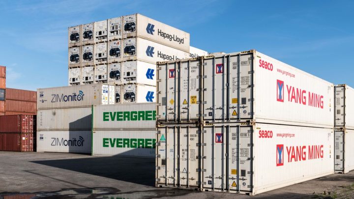 Primer Semestre Mixto para las Exportaciones Cárnicas Uruguayas en 2026: Mejores Precios a Pesar de Caídas en Valor y Volumen