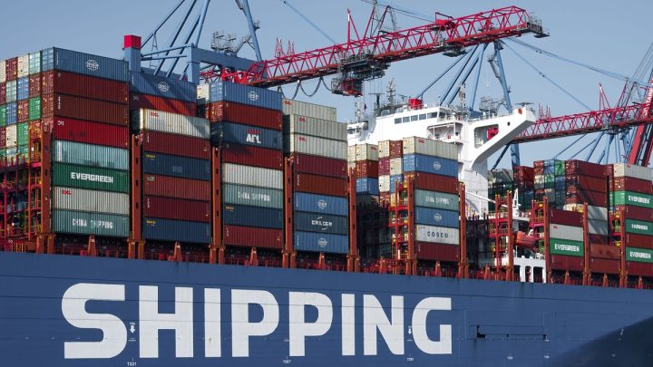 Carne bovina, celulosa y lácteos: los pilares de las exportaciones uruguayas en el primer semestre de 2026