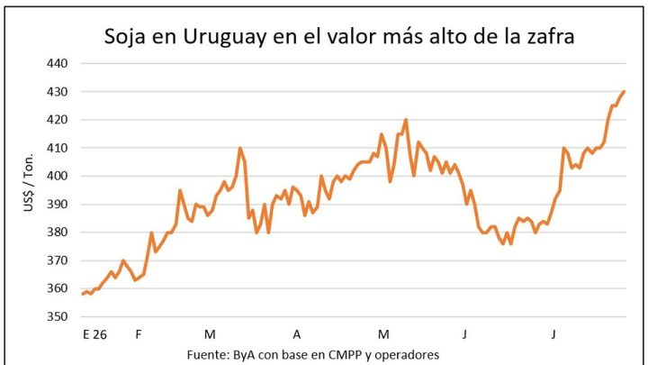 Soja 2027 alcanza US$ 420 por tonelada en un mercado de granos con tendencia ascendente