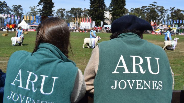 Se aproxima la Expo Rural del Prado con fuerte crecimiento en animales inscriptos y casas nuevas para ellos